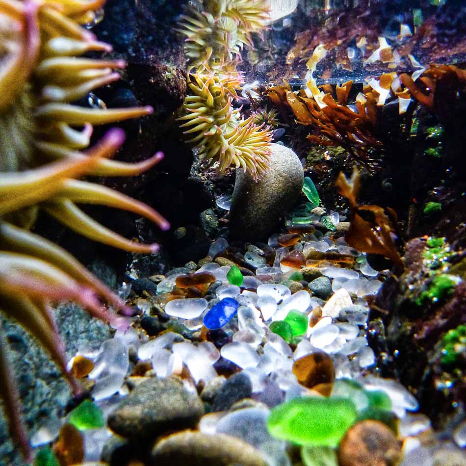 SO AT SOME POINT LITTER AND TRASH BECOME ART THAT LIBERALS WANT TO PROTECT?